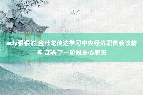 ady狠狠射 金壮龙传达学习中央经济职责会议精神 部署下一阶段重心职责