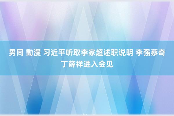 男同 動漫 习近平听取李家超述职说明 李强蔡奇丁薛祥进入会见