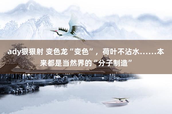 ady狠狠射 变色龙“变色”，荷叶不沾水……本来都是当然界的“分子制造”