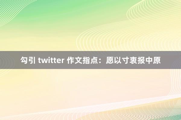 勾引 twitter 作文指点：愿以寸衷报中原