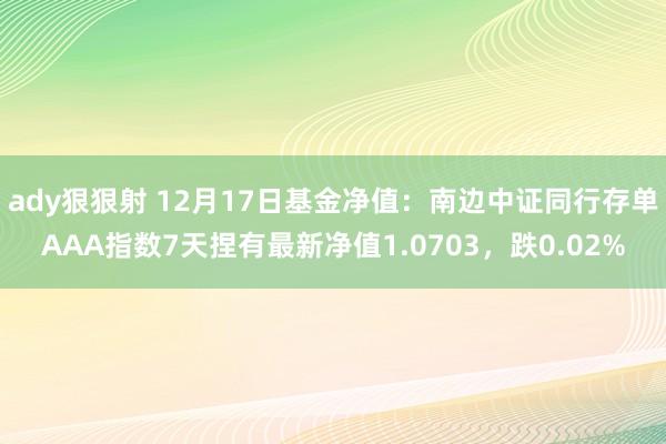 ady狠狠射 12月17日基金净值：南边中证同行存单AAA指数7天捏有最新净值1.0703，跌0.02%