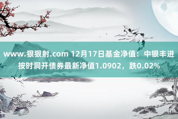 www.狠狠射.com 12月17日基金净值：中银丰进按时洞开债券最新净值1.0902，跌0.02%