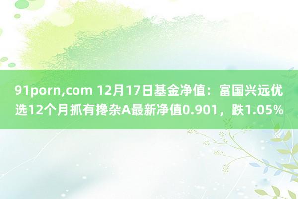 91porn，com 12月17日基金净值：富国兴远优选12个月抓有搀杂A最新净值0.901，跌1.05%