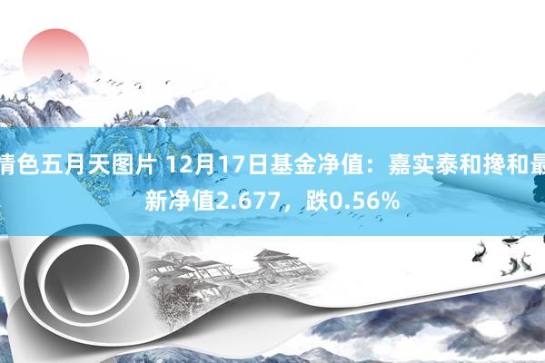 情色五月天图片 12月17日基金净值：嘉实泰和搀和最新净值2.677，跌0.56%