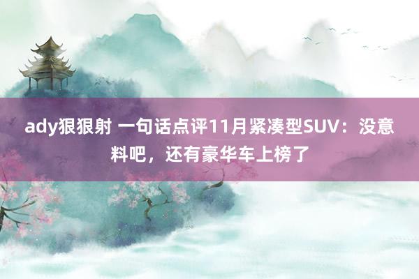 ady狠狠射 一句话点评11月紧凑型SUV：没意料吧，还有豪华车上榜了