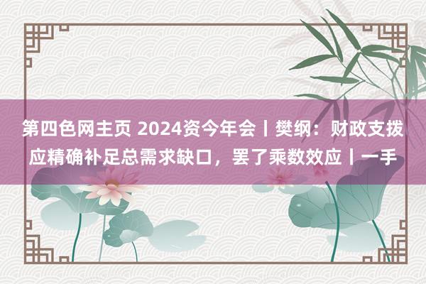 第四色网主页 2024资今年会丨樊纲：财政支拨应精确补足总需求缺口，罢了乘数效应丨一手