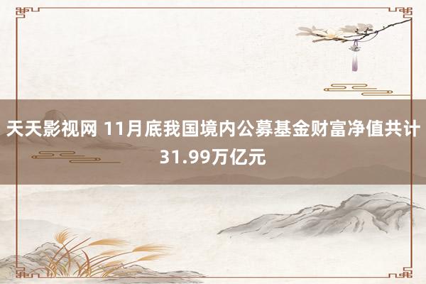 天天影视网 11月底我国境内公募基金财富净值共计31.99万亿元