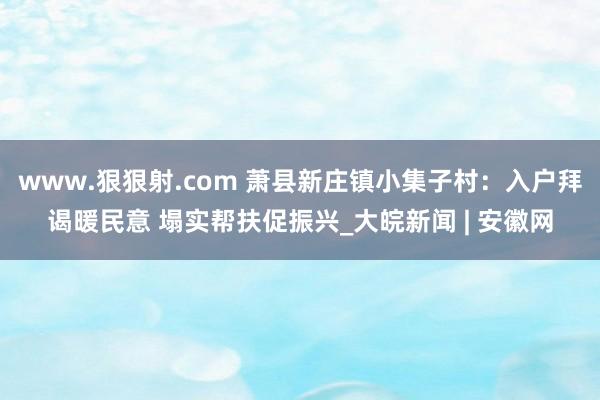 www.狠狠射.com 萧县新庄镇小集子村：入户拜谒暖民意 塌实帮扶促振兴_大皖新闻 | 安徽网