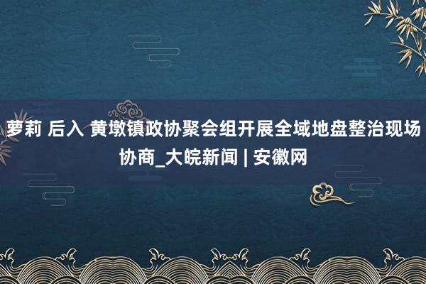 萝莉 后入 黄墩镇政协聚会组开展全域地盘整治现场协商_大皖新闻 | 安徽网