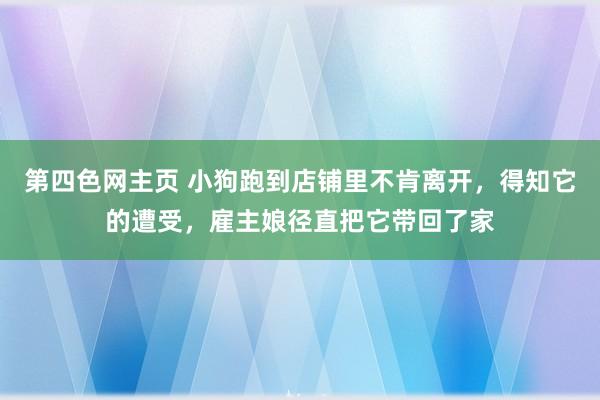 第四色网主页 小狗跑到店铺里不肯离开，得知它的遭受，雇主娘径直把它带回了家