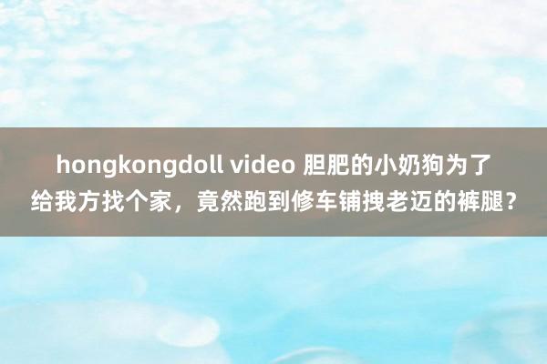 hongkongdoll video 胆肥的小奶狗为了给我方找个家，竟然跑到修车铺拽老迈的裤腿？