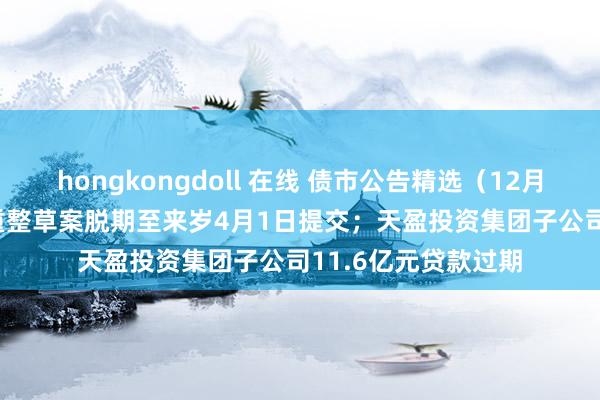 hongkongdoll 在线 债市公告精选（12月25日）| 红星控股重整草案脱期至来岁4月1日提交；天盈投资集团子公司11.6亿元贷款过期