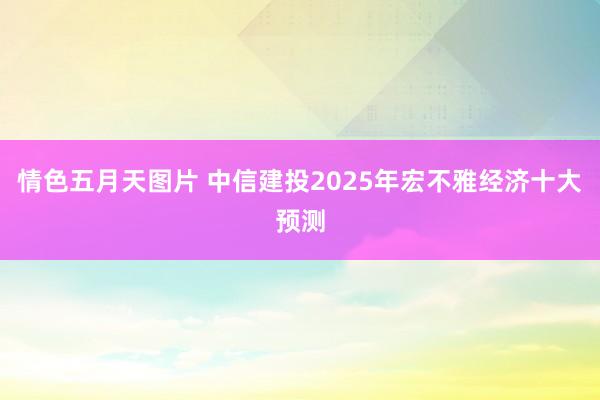 情色五月天图片 中信建投2025年宏不雅经济十大预测