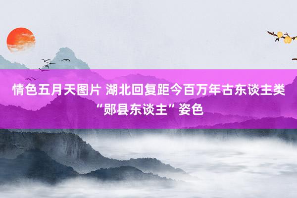 情色五月天图片 湖北回复距今百万年古东谈主类“郧县东谈主”姿色