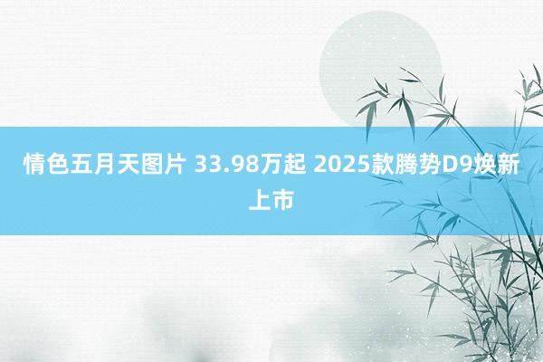 情色五月天图片 33.98万起 2025款腾势D9焕新上市