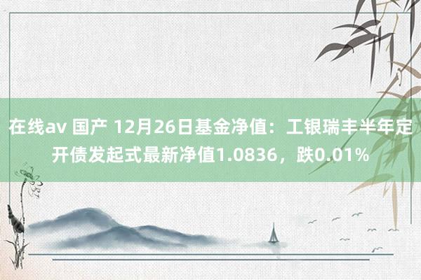 在线av 国产 12月26日基金净值：工银瑞丰半年定开债发起式最新净值1.0836，跌0.01%