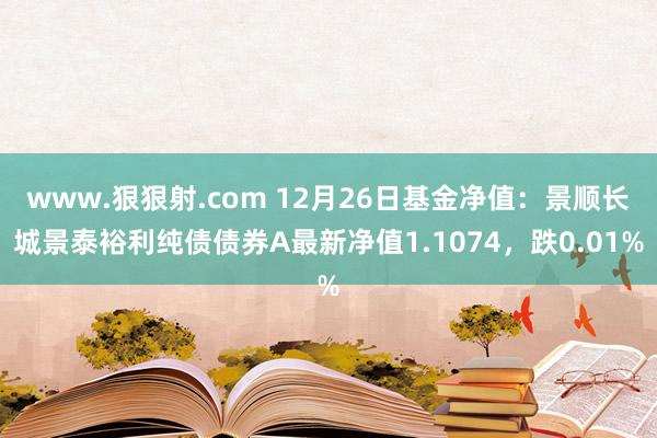 www.狠狠射.com 12月26日基金净值：景顺长城景泰裕利纯债债券A最新净值1.1074，跌0.01%