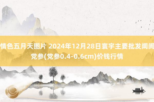 情色五月天图片 2024年12月28日寰宇主要批发阛阓党参(党参0.4-0.6cm)价钱行情