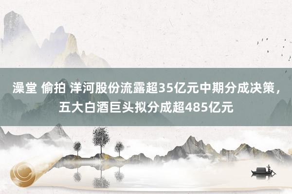 澡堂 偷拍 洋河股份流露超35亿元中期分成决策，五大白酒巨头拟分成超485亿元