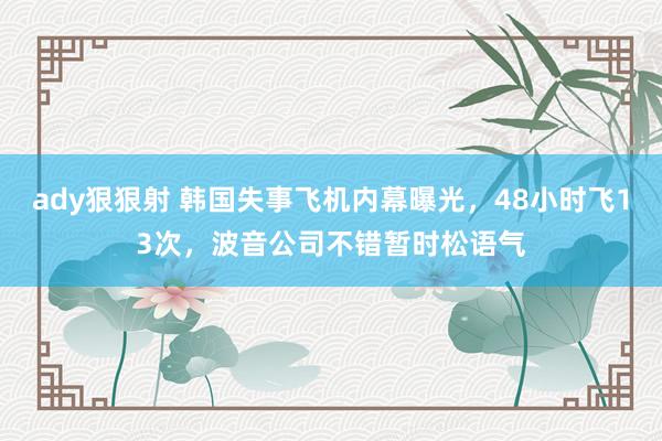 ady狠狠射 韩国失事飞机内幕曝光，48小时飞13次，波音公司不错暂时松语气