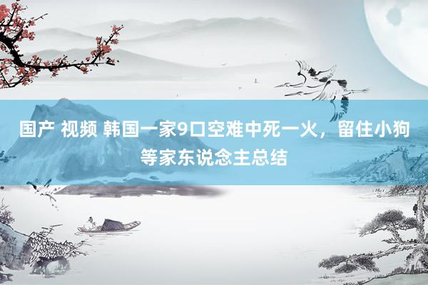 国产 视频 韩国一家9口空难中死一火，留住小狗等家东说念主总结