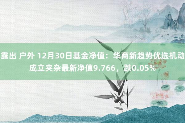 露出 户外 12月30日基金净值：华商新趋势优选机动成立夹杂最新净值9.766，跌0.05%