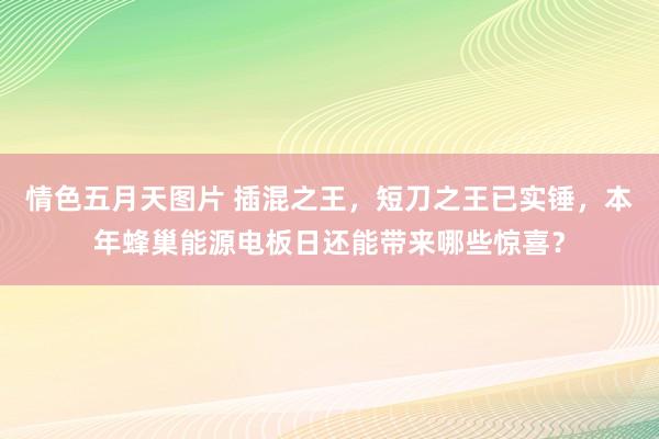 情色五月天图片 插混之王，短刀之王已实锤，本年蜂巢能源电板日还能带来哪些惊喜？