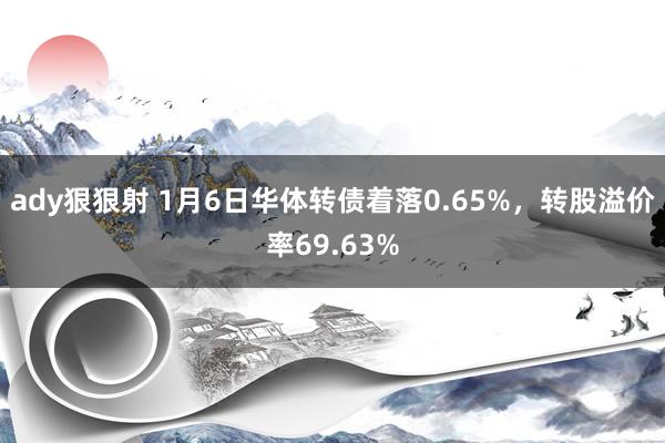 ady狠狠射 1月6日华体转债着落0.65%，转股溢价率69.63%