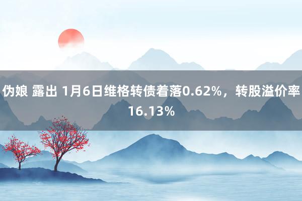 伪娘 露出 1月6日维格转债着落0.62%，转股溢价率16.13%