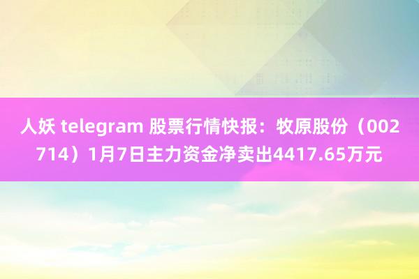 人妖 telegram 股票行情快报：牧原股份（002714）1月7日主力资金净卖出4417.65万元