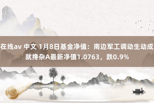 在线av 中文 1月8日基金净值：南边军工调动生动成就搀杂A最新净值1.0763，跌0.9%