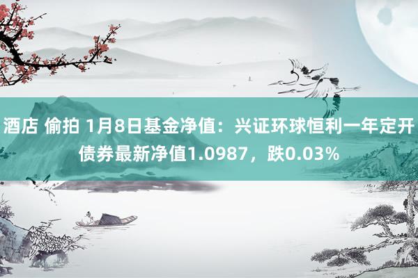 酒店 偷拍 1月8日基金净值：兴证环球恒利一年定开债券最新净值1.0987，跌0.03%