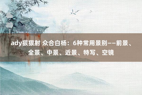 ady狠狠射 众合白杨：6种常用景别——前景、全景、中景、近景、特写、空镜