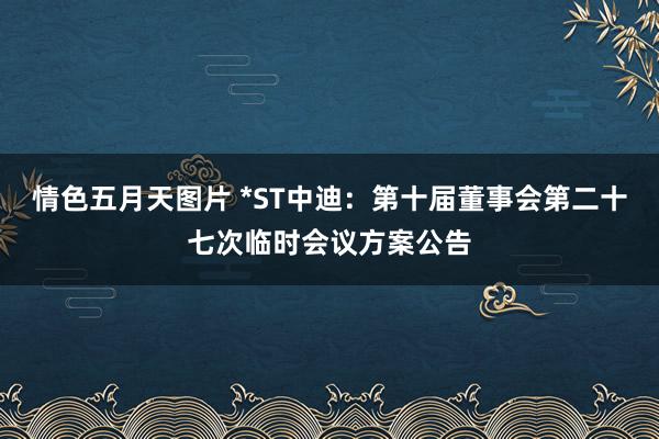 情色五月天图片 *ST中迪：第十届董事会第二十七次临时会议方案公告