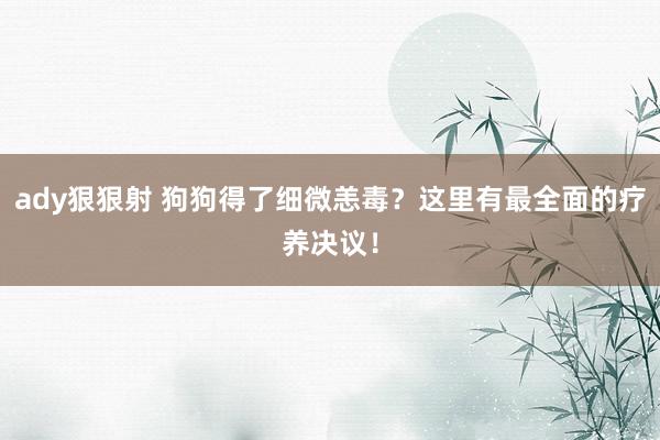 ady狠狠射 狗狗得了细微恙毒？这里有最全面的疗养决议！