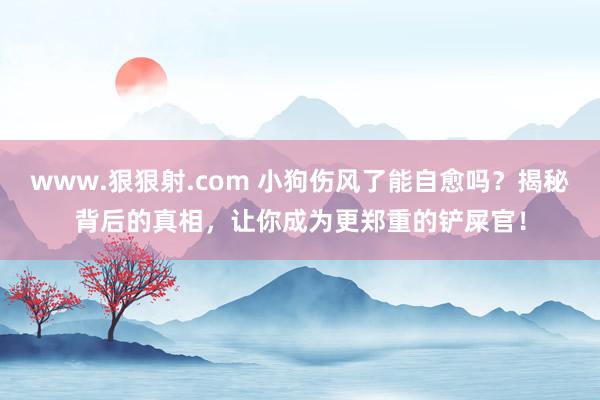 www.狠狠射.com 小狗伤风了能自愈吗？揭秘背后的真相，让你成为更郑重的铲屎官！