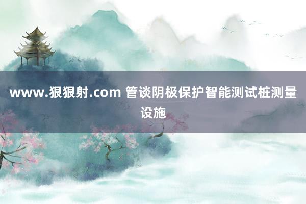 www.狠狠射.com 管谈阴极保护智能测试桩测量设施