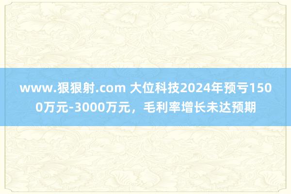 www.狠狠射.com 大位科技2024年预亏1500万元-3000万元，毛利率增长未达预期