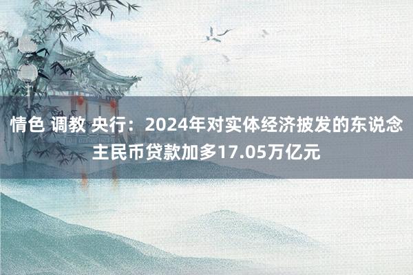 情色 调教 央行：2024年对实体经济披发的东说念主民币贷款加多17.05万亿元