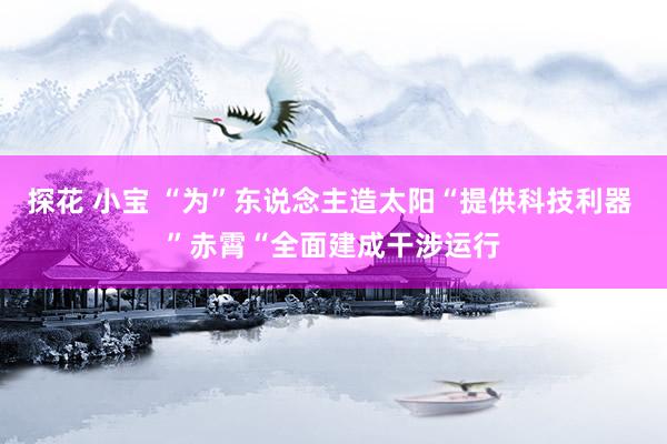 探花 小宝 “为”东说念主造太阳“提供科技利器 ”赤霄“全面建成干涉运行