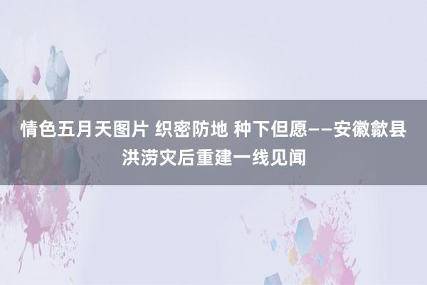 情色五月天图片 织密防地 种下但愿——安徽歙县洪涝灾后重建一线见闻