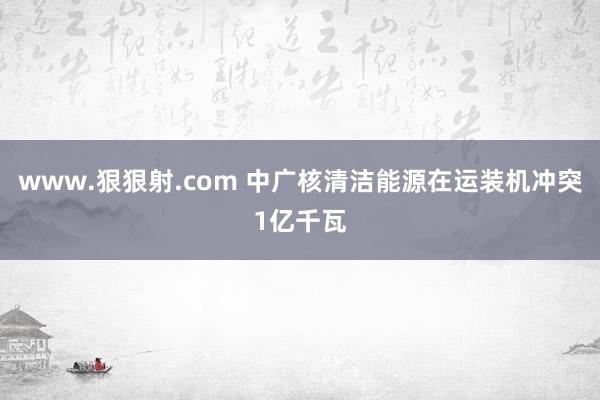 www.狠狠射.com 中广核清洁能源在运装机冲突1亿千瓦