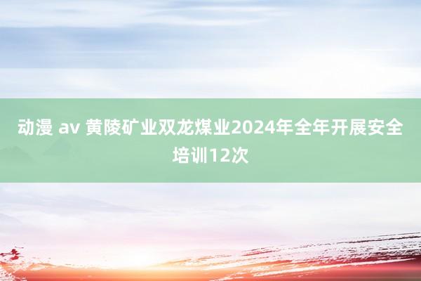 动漫 av 黄陵矿业双龙煤业2024年全年开展安全培训12次