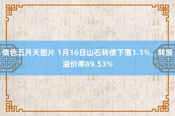 情色五月天图片 1月16日山石转债下落1.1%，转股溢价率89.53%